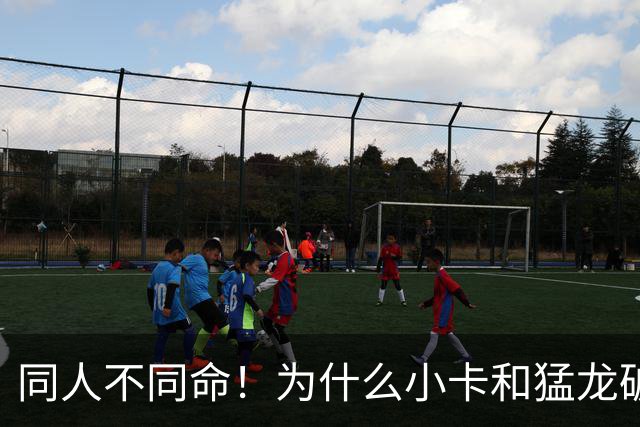 同人不同命！为什么小卡和猛龙破镜重圆，杜兰特和勇士就不行呢